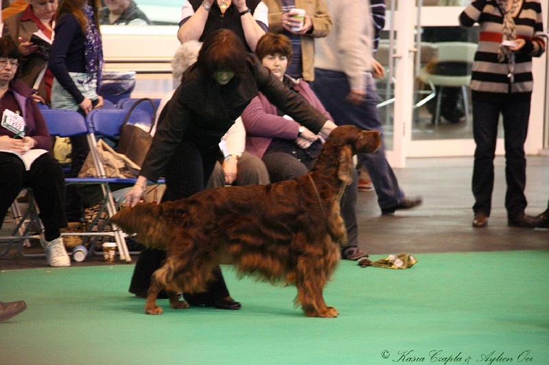 Crufts2011_2 069.jpg